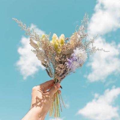 障碍摩托挑战赛